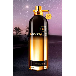 Montale Spicy Aoud EDP...