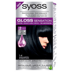 Syoss Gloss Sensation Боя...