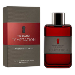 Antonio Banderas The Secret...