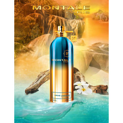 Montale Day Dreams EDP...