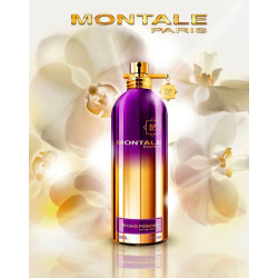 Montale Orchid Powder EDP...