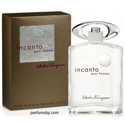 Salvatore Ferragamo Incanto Pour Homme EDT за мъже 50ml