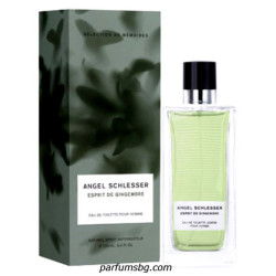 Angel Schlesser Esprit Gingembre EDT за мъже 100ml без кутия