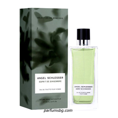 Angel Schlesser Esprit Gingembre EDT за мъже 100ml без кутия