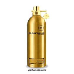 Montale Mr.Aoud EDP UNISEX...