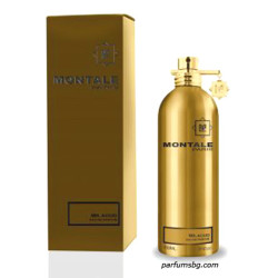 Montale Mr.Aoud EDP UNISEX 100ml